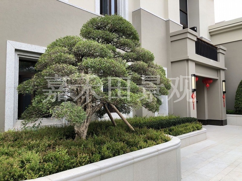 如何選擇專業(yè)的景觀設計師或施工隊伍？